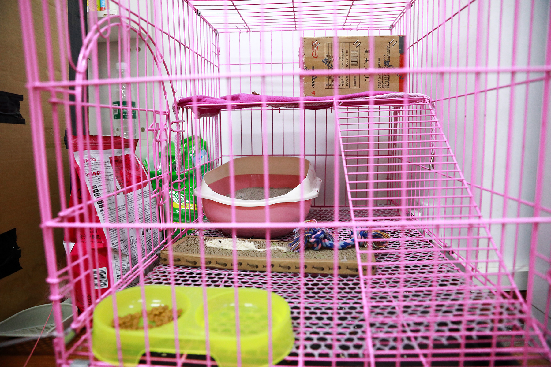 1504332018689684.jpg 養(yǎng)心殿.jpg