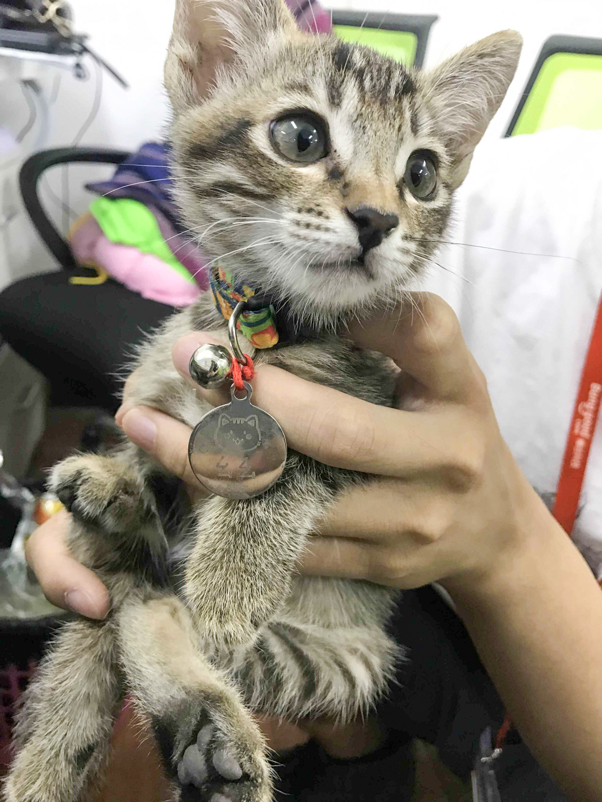 1504332151258221.jpg QQ圖片20170822113048.jpg